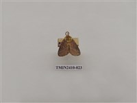 藏品(銀灰帶刺蛾)的圖片